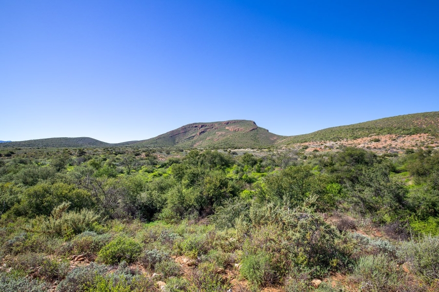  Bedroom Property for Sale in Oudtshoorn Rural Western Cape